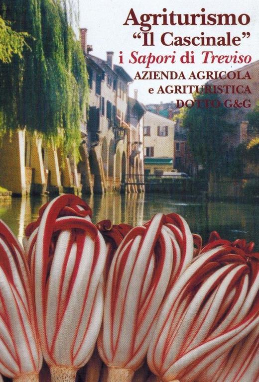 Agriturismo Il Cascinale Тревизо Екстериор снимка